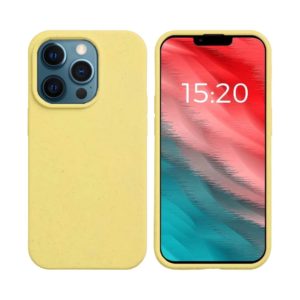 coque iPhone 12 Pro max